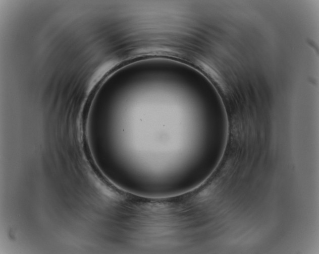 X0000091501082200708231439