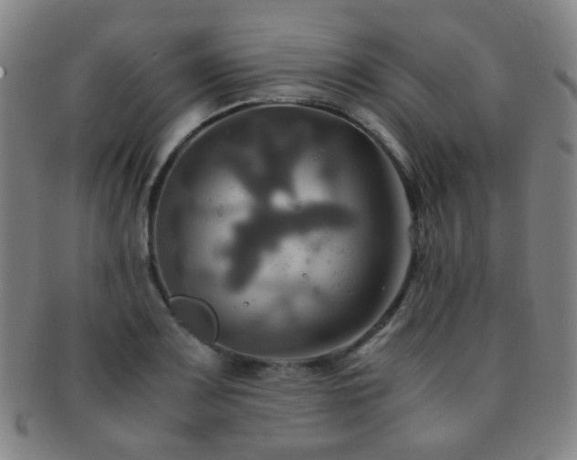 X0000091501083200708231439