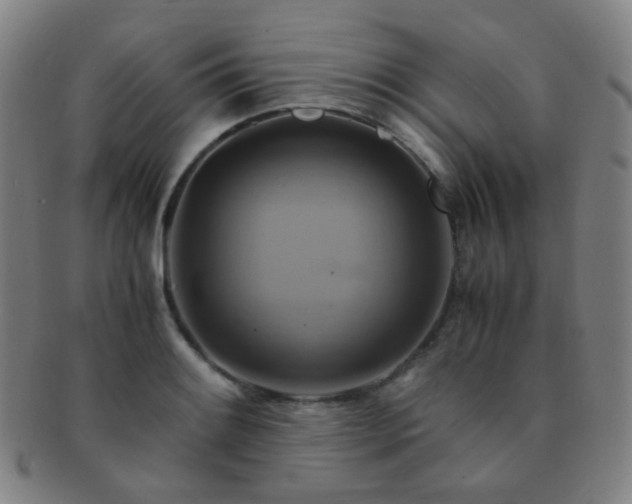 X0000091501084200708231439