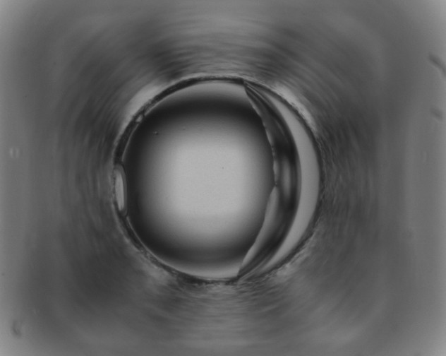 X0000091501085200708231439