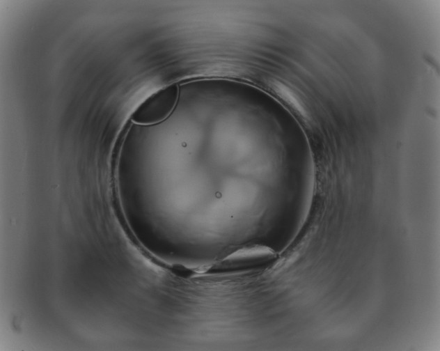 X0000091501087200708231439