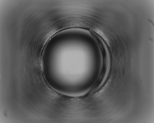 X0000091501089200708231439