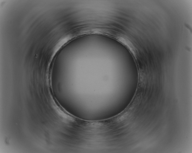 X0000091501090200708231439