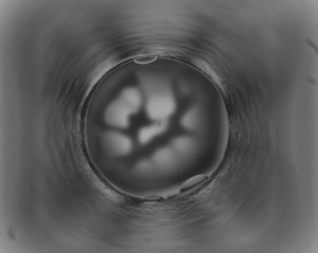 X0000091501091200708231439