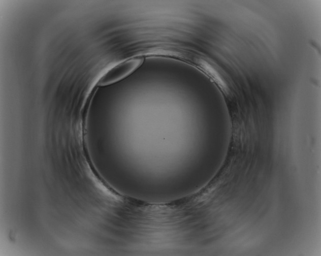 X0000091501092200708231439