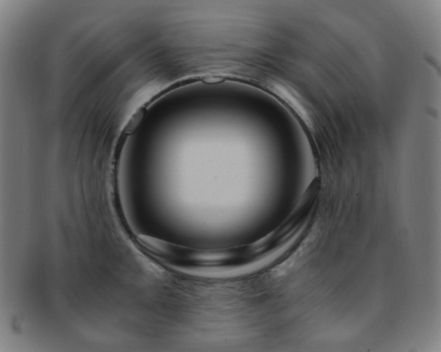 X0000091501093200708231439