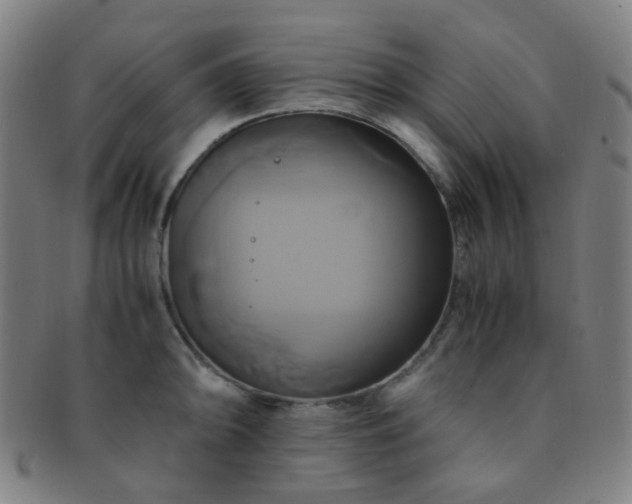 X0000091501094200708231439