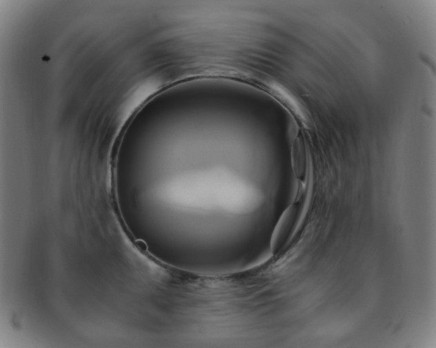 X0000091501095200708231439