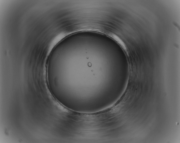 X0000091501096200708231439
