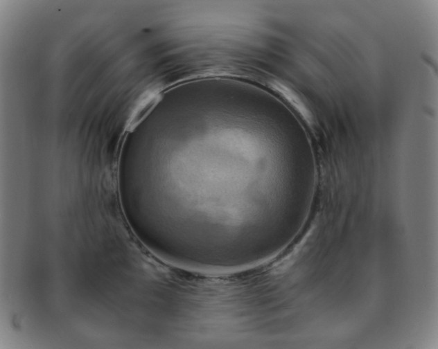 X0000091501097200708231439