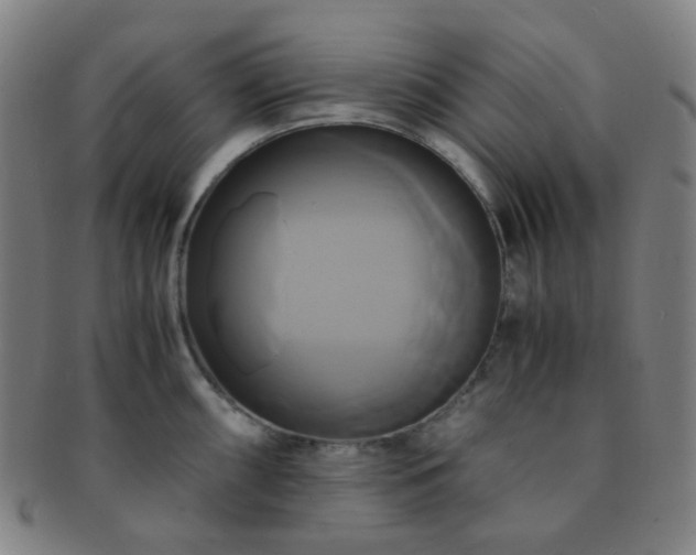 X0000091501098200708231439