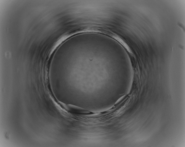 X0000091501101200708231439