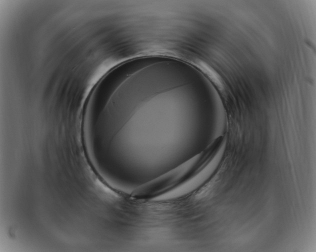X0000091501102200708231439
