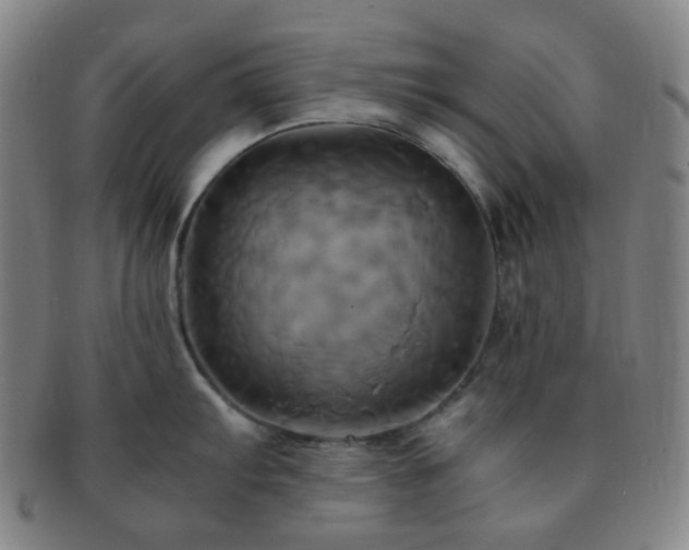 X0000091501103200708231439