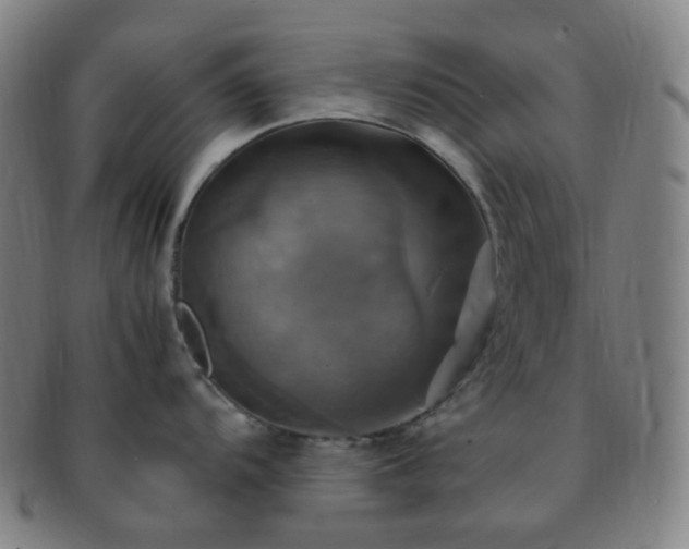 X0000091501104200708231439