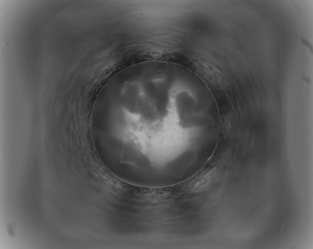 X0000091501105200708231438