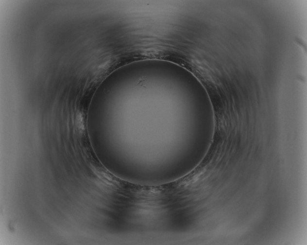 X0000091501106200708231438