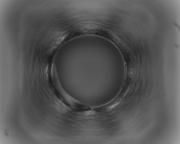 X0000091501108200708231438
