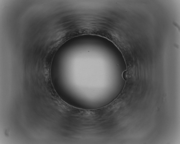 X0000091501109200708231438