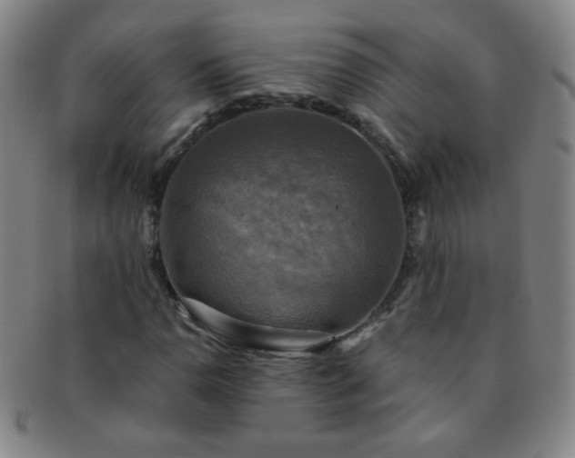 X0000091501110200708231438