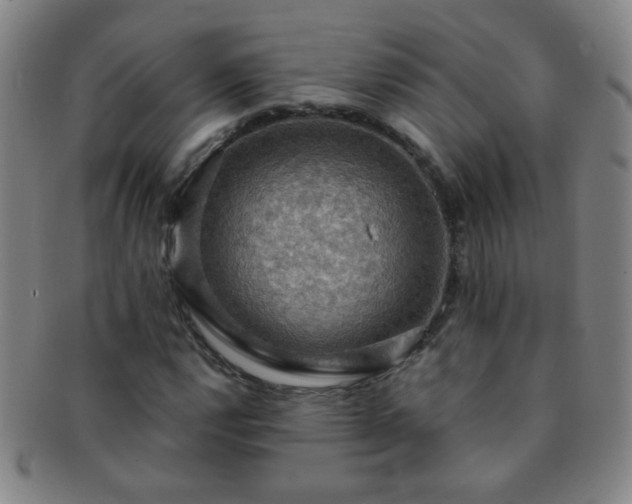 X0000091501112200708231438