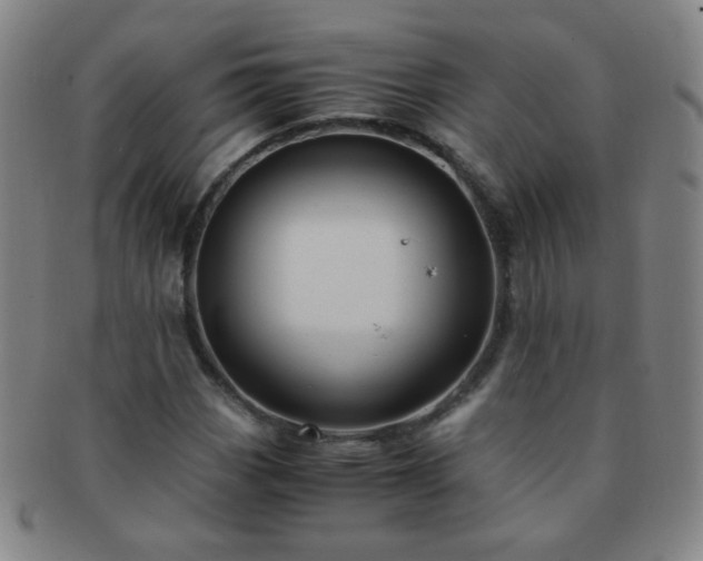 X0000091501113200708231438