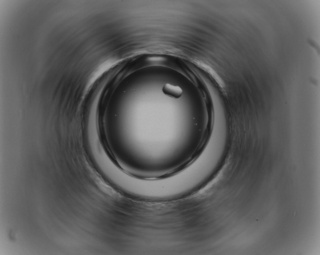 X0000091501114200708231438