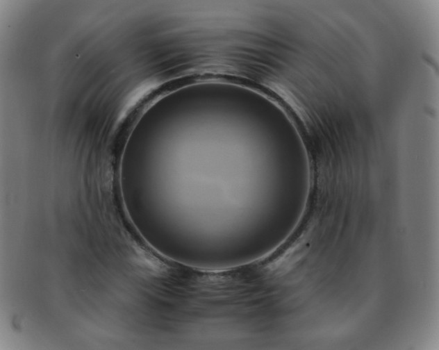 X0000091501115200708231438