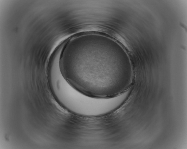 X0000091501116200708231438