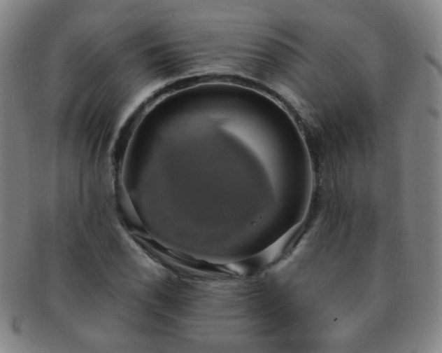 X0000091501118200708231438