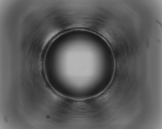 X0000091501119200708231438