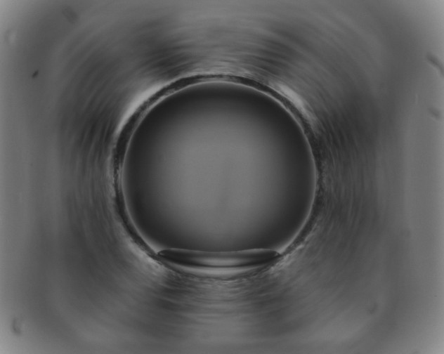 X0000091501120200708231438