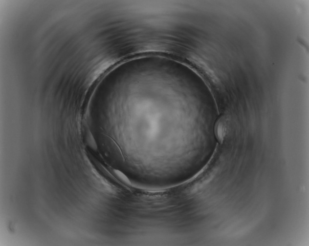 X0000091501121200708231438
