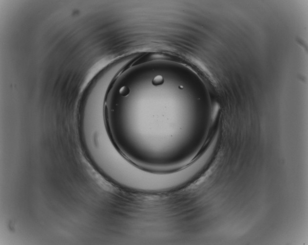 X0000091501122200708231438