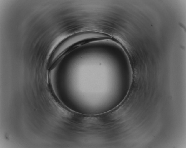 X0000091501123200708231438