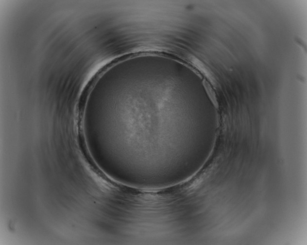 X0000091501124200708231438