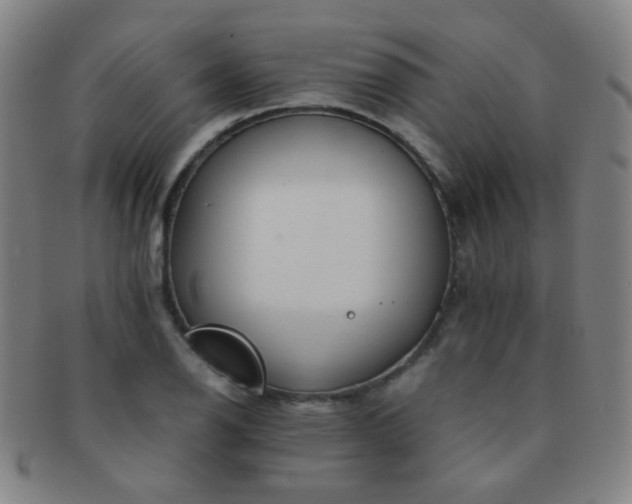 X0000091501126200708231438