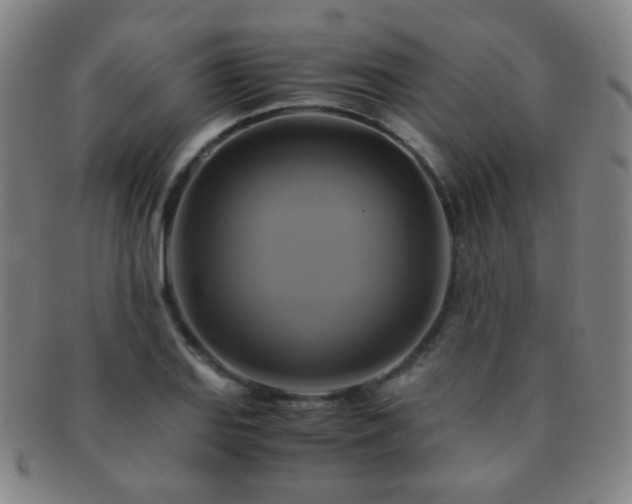 X0000091501127200708231438