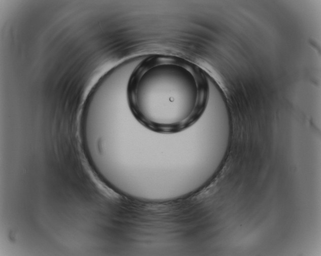 X0000091501128200708231438