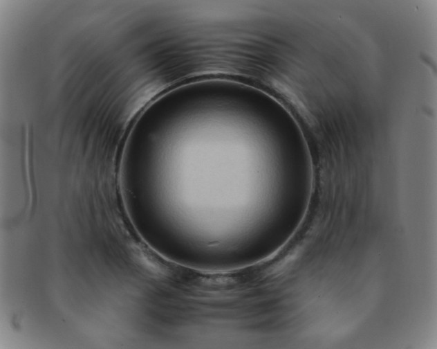 X0000091501129200708231438