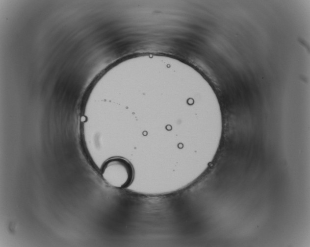 X0000091501130200708231438