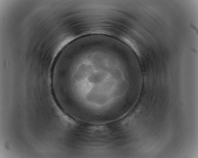 X0000091501133200708231439