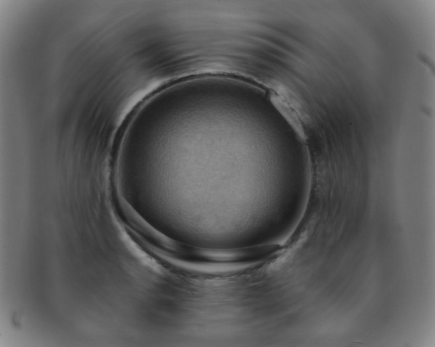 X0000091501134200708231439