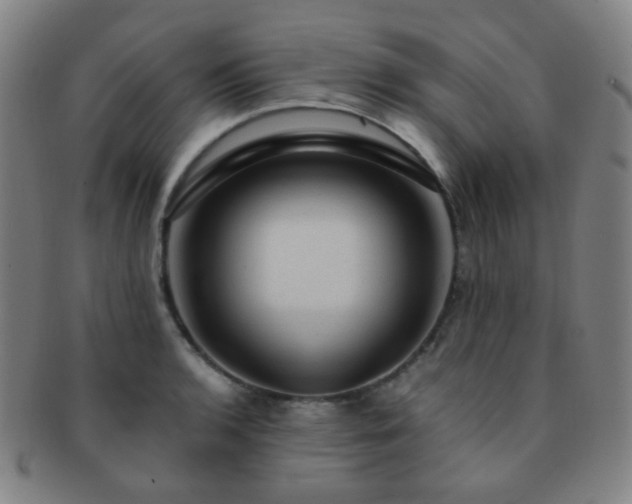 X0000091501136200708231439