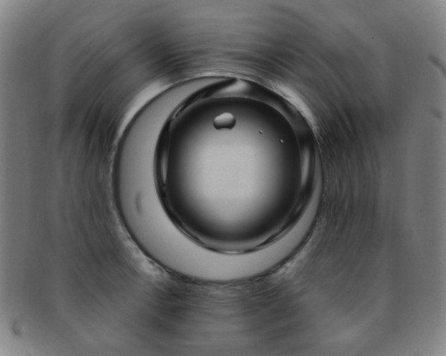 X0000091501138200708231439