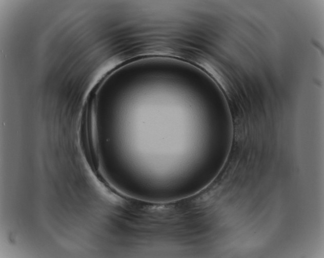 X0000091501139200708231439