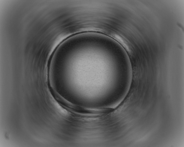 X0000091501140200708231439