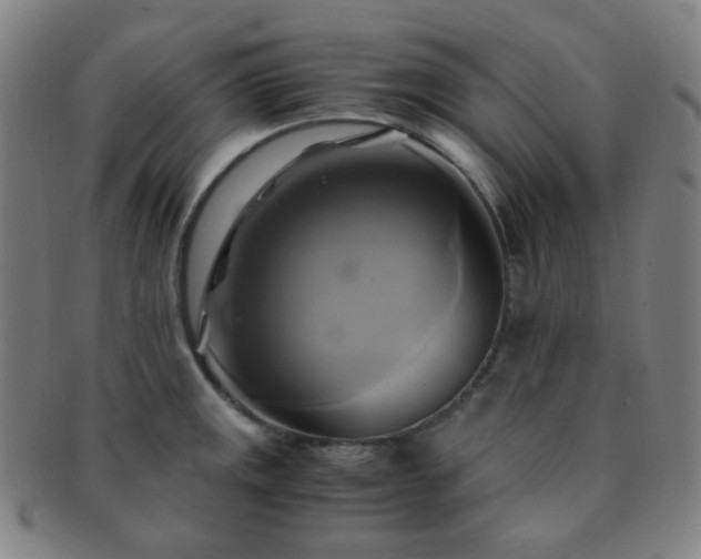 X0000091501141200708231439