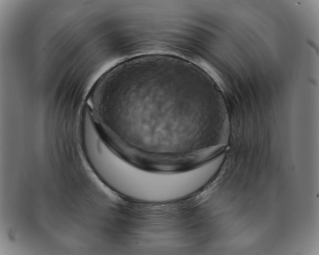 X0000091501142200708231439