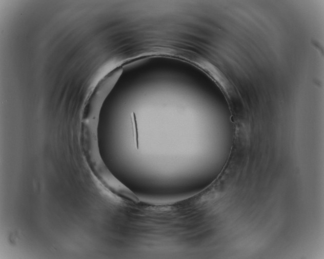 X0000091501143200708231439